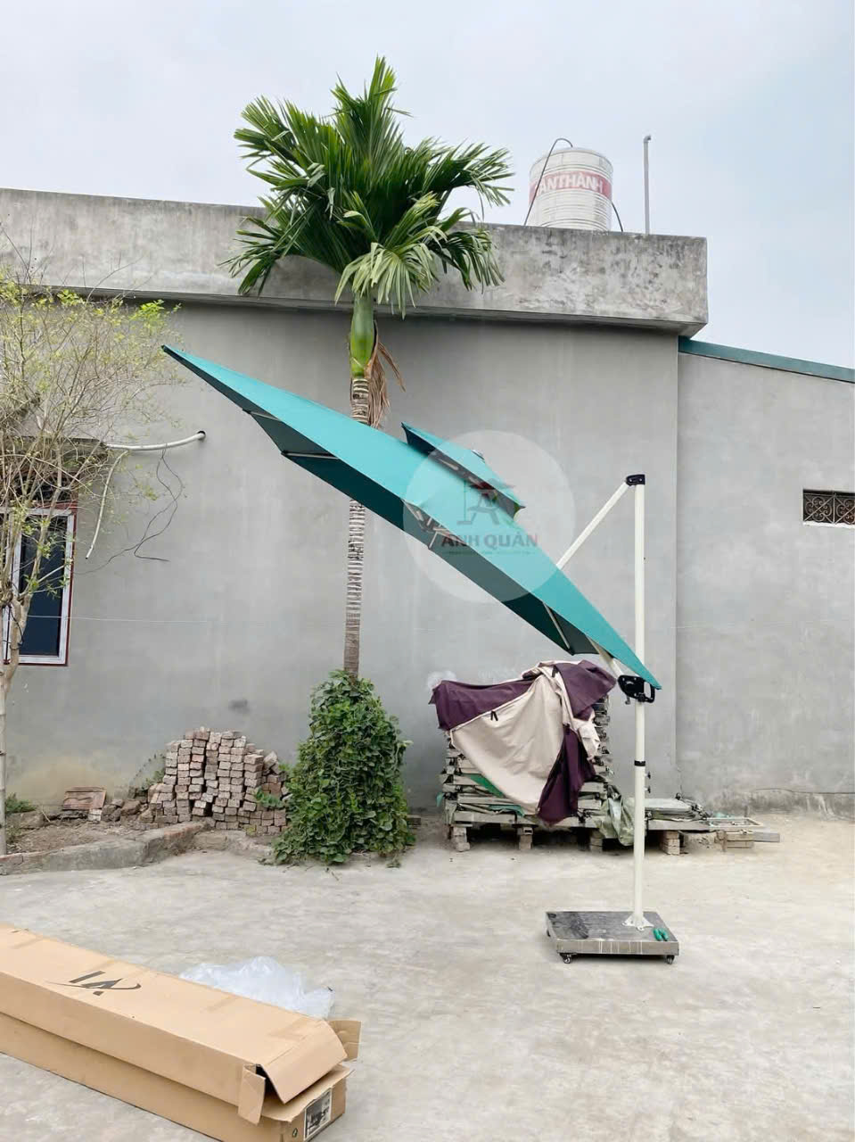 b3809019-7167-45f5-93e2-463cedacdda1